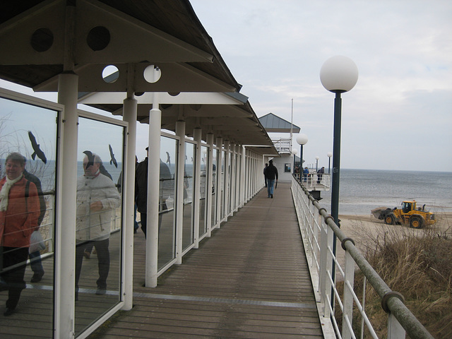 Usedom - Seebrücke Heringsdorf