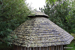 Larch roof on the gazebo, ageing gracefully?
