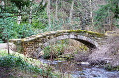 Hump-back Bridge