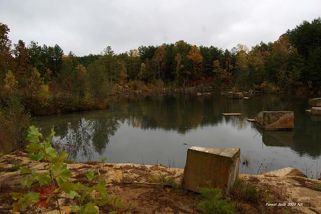 Central States Forest Soils Workshop