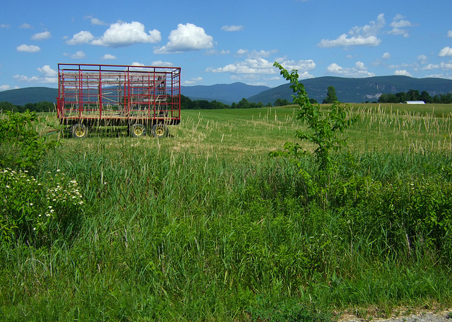 Summertime Vermont