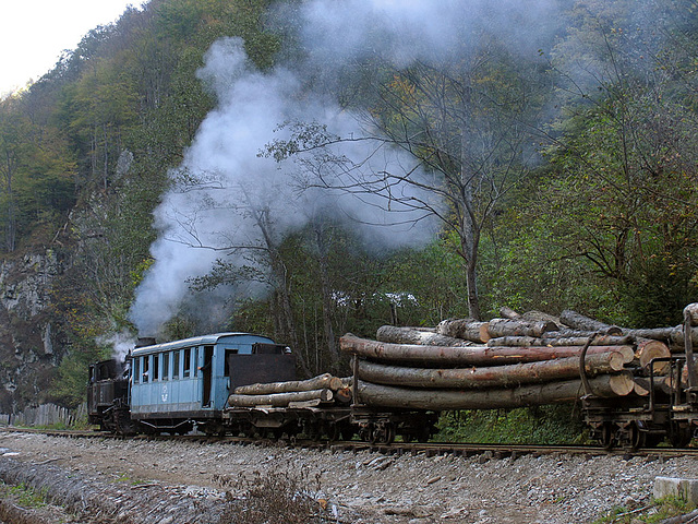 Logging bolsters