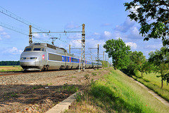 TGV sur la PLM