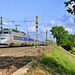 TGV sur la PLM