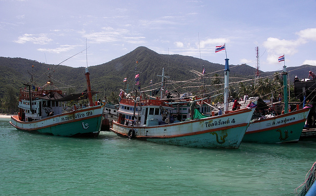 Fishing boats