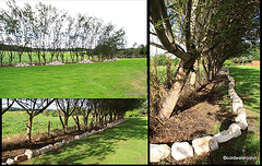 Flowerbed construction
