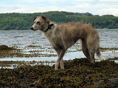 On the shore