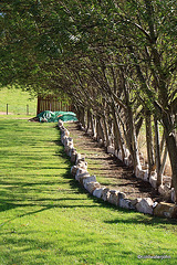 Flowerbed construction - first steps
