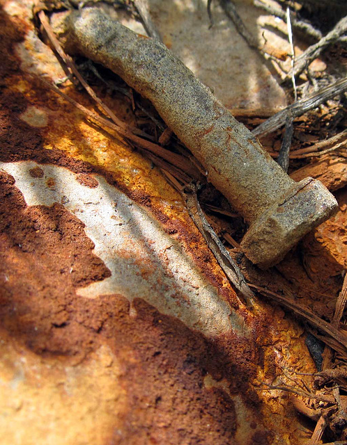 Bolt with Rusting Metal