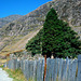 Slate Fence, Snowdonia, Wales