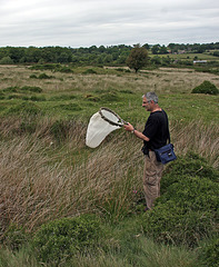 Catherton Common