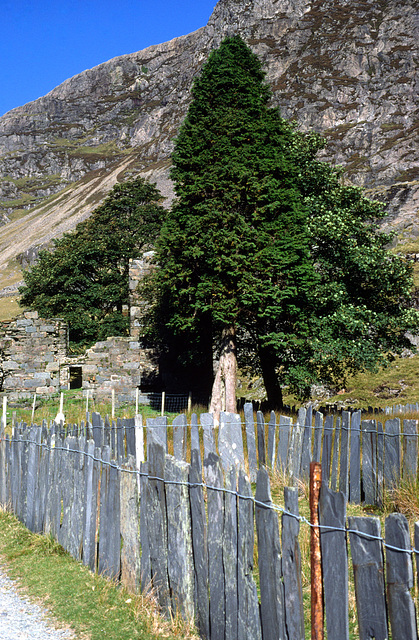 Slate Fences in Snowdonia, Wales