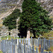 Slate Fences in Snowdonia, Wales