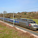 TGV sur le raccordement Ouest