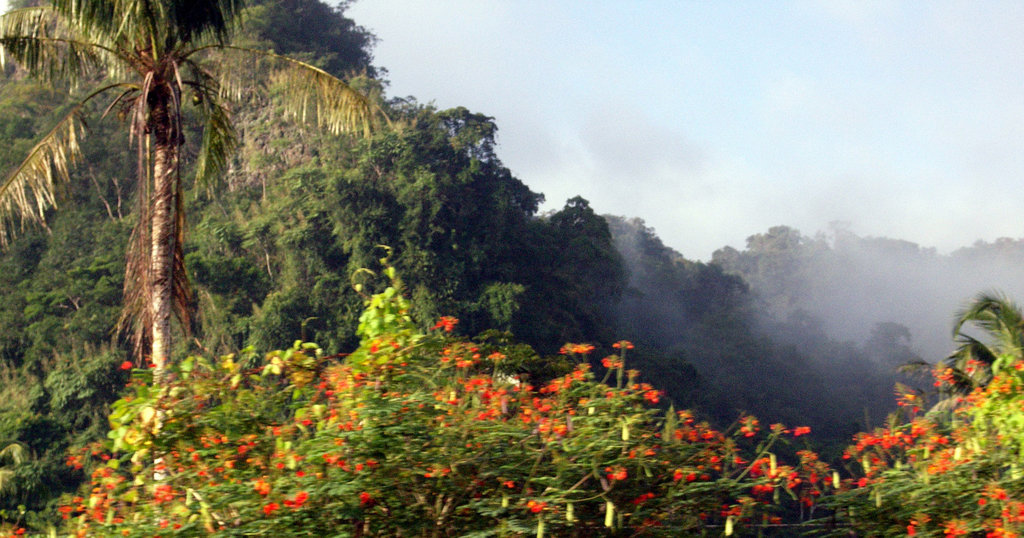 Leaving Khao Sok