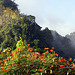 Leaving Khao Sok