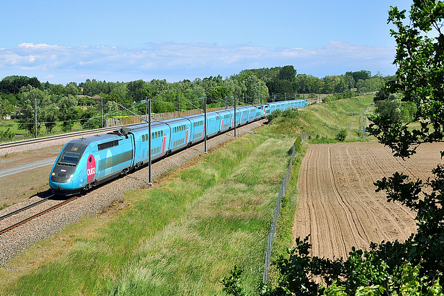 TGV low-cost haute densité