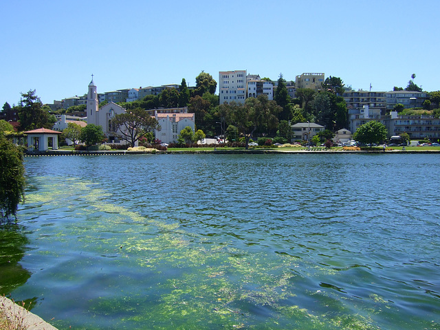 Oakland Lake ~ Lake Merritt