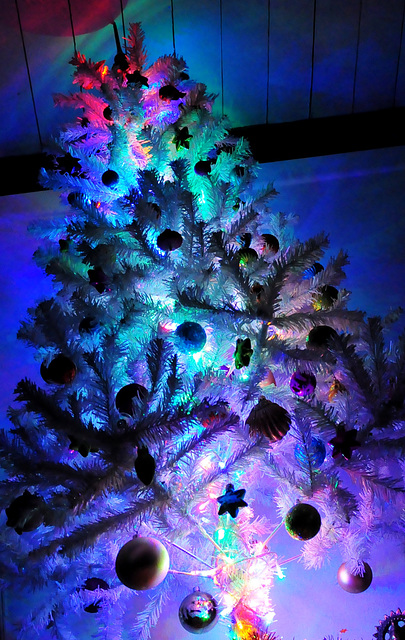 Xmas tree 2012 012