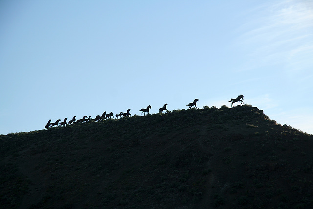 Wild Horse Monument