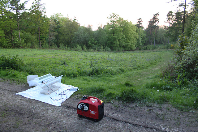 Actinic Moth Trap Brede High Wood