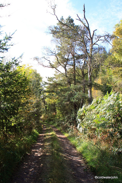 Autumn Country Roads #1
