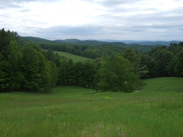 Porch View #1