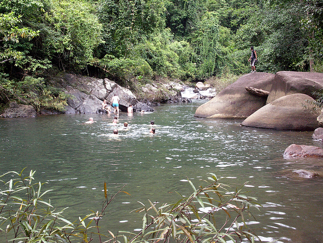 A swim in the jungle