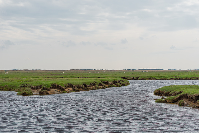 Wasserwege - 20130515