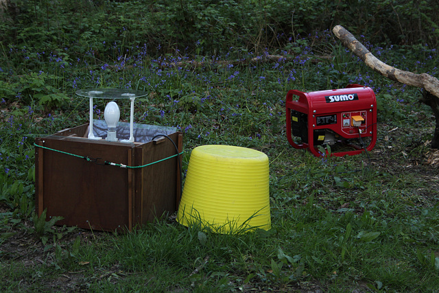 MV Trap Brede High Wood Mothing