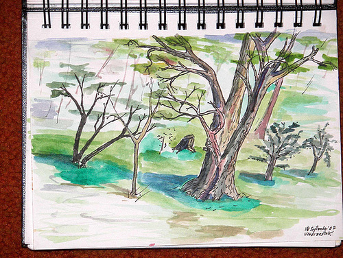Vladivostok Park2