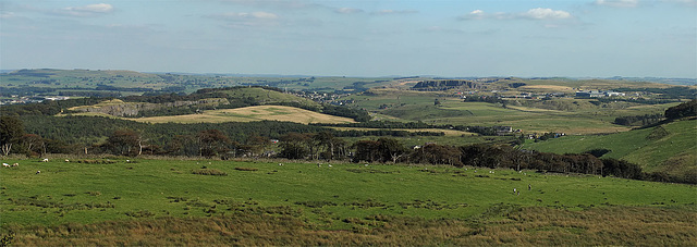 Grin and Harpur Hill
