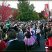 Massive Crowds at the Ashland Halloween Parade