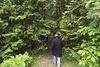 Into the Woods