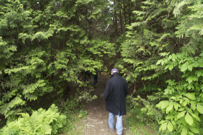Into the Woods