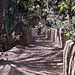 Footpath through the Buraimi Oasis - August 1973 4342069310 o