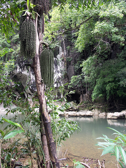 A river runs past it