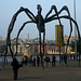 Tate Modern Spider