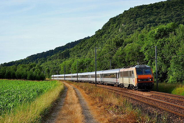 Corail dans la vallée du Doubs