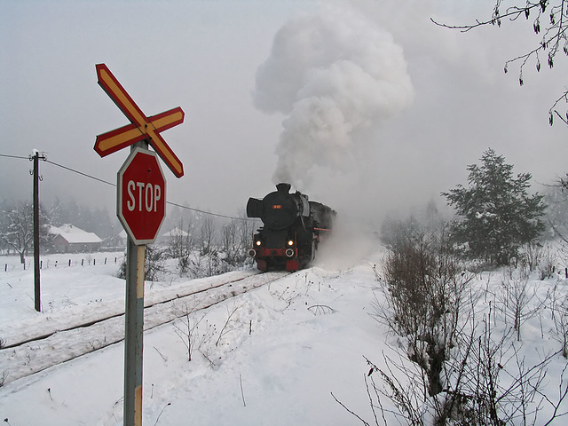 Winter crossing