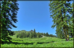 Looking up Mt. Ashland at Trailhead