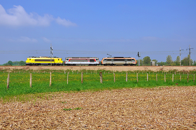 TM coloré sur la ligne de la Bresse