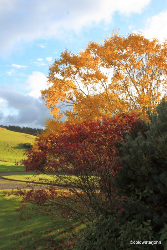 Sunshine and Autumn colours