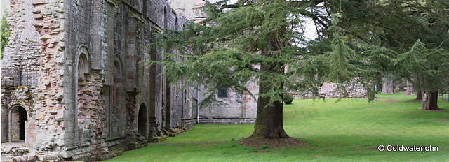 Dryburgh  Abbey