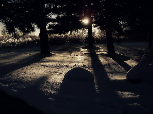 Winter Sunlight and shadow