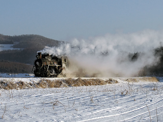 Narrow gauge at speed