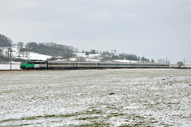 Sybic Fret et Corail dans la neige