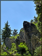 Boulders with Trees