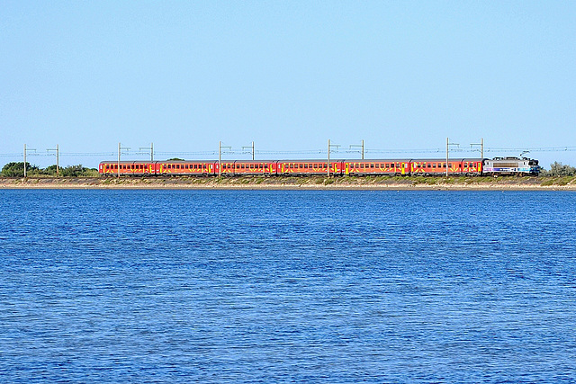 Rame Corail Languedoc à Leucate