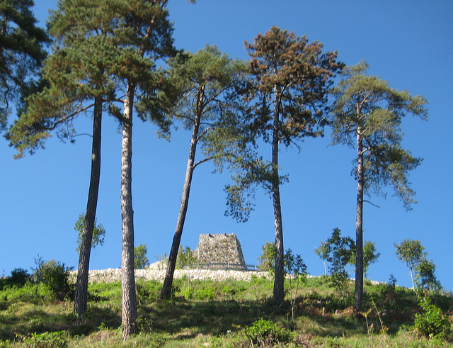 Ruine Griffen